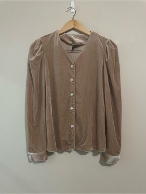 ⚠️ Dazy | Sz Medium Top